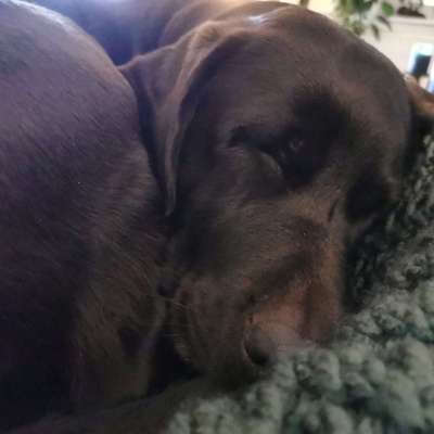 Foto Challenge Nr. 134-Beitrag-Bild