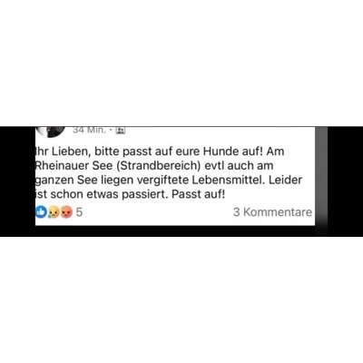 Giftköder-Vergiftete Lebensmittel am Rheinauer See-Bild