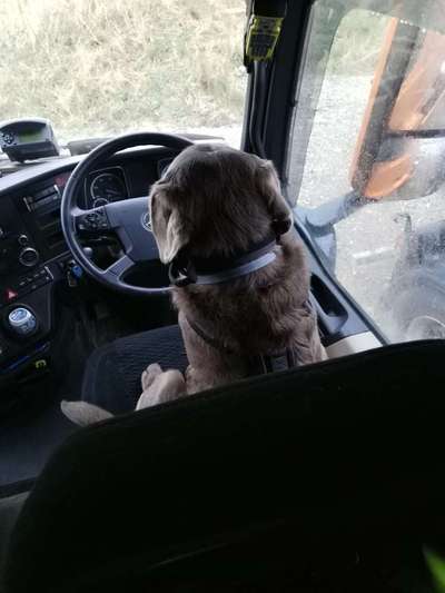 Zeigt her...-Beitrag-Bild