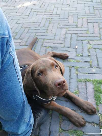 Lieblingsbild-Beitrag-Bild