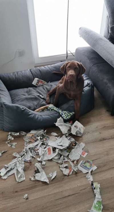 Fotochallenge 113: Auf frsicher Tat ertappt-Beitrag-Bild