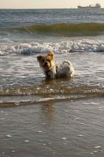 Fotochallenge Nr. 94 It's summer time-Beitrag-Bild