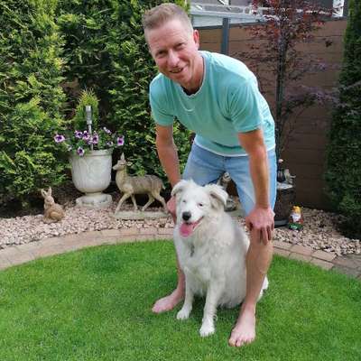 Hundetreffen-Neue Bekanntschaften mit Vier-& Zweibeiner gesucht-Bild