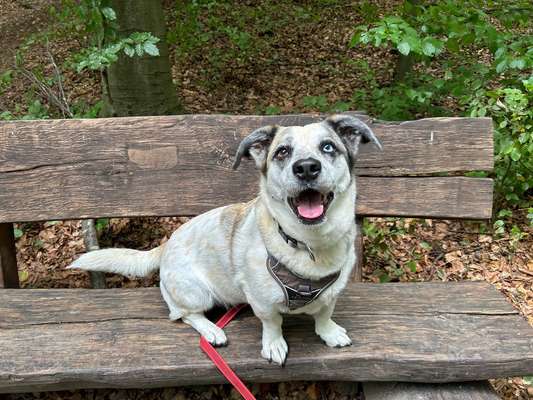 Welche Sätze hört ihr oft?-Beitrag-Bild