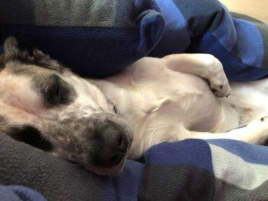 Fotochallenge Nr.65-Beitrag-Bild