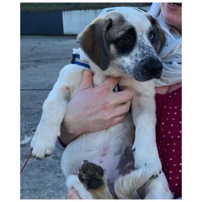 Das erste Foto-Beitrag-Bild