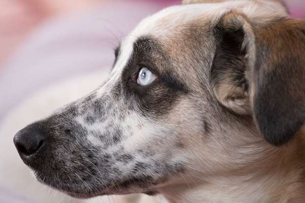 Blick fürs Detail!-Beitrag-Bild