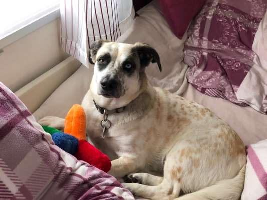 Zeige deinen Schatz mit seinem Lieblingsspielzeug.-Beitrag-Bild