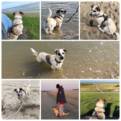 37. Collagen Challenge- Am Strand-Beitrag-Bild