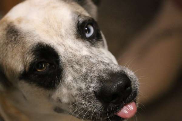 Lieblingsbild-Beitrag-Bild