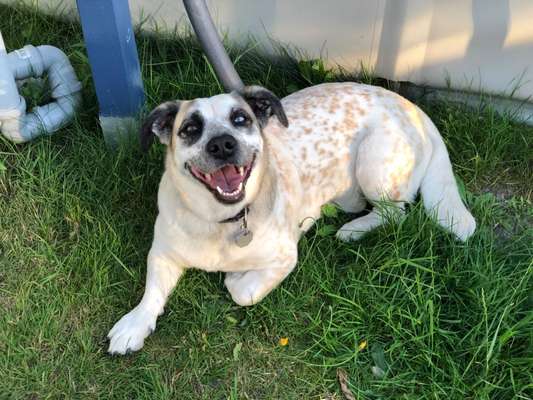 Das beste grinsefoto-Beitrag-Bild