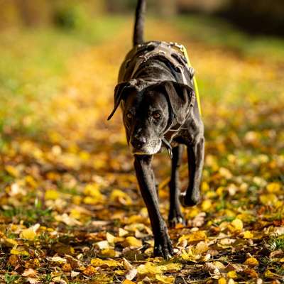 Austausch zur Fotografie-Beitrag-Bild