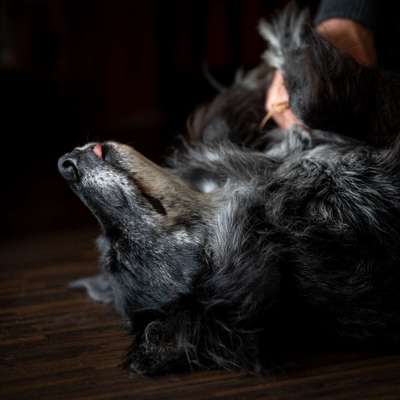 Austausch zur Fotografie-Beitrag-Bild