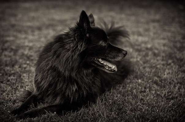 Austausch zur Fotografie-Beitrag-Bild