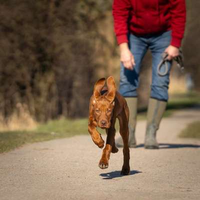 Austausch zur Fotografie-Beitrag-Bild