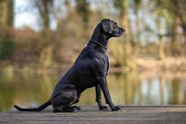 Austausch zur Fotografie-Beitrag-Bild