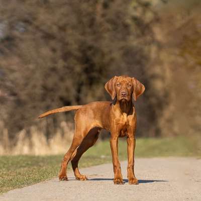 Austausch zur Fotografie-Beitrag-Bild