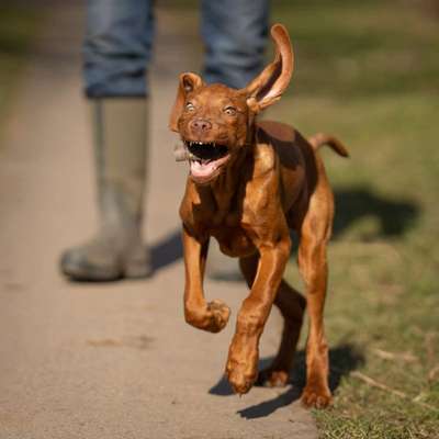 Austausch zur Fotografie-Beitrag-Bild