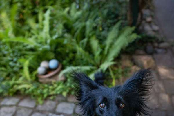 20. Handy -Foto-Callenge-Beitrag-Bild