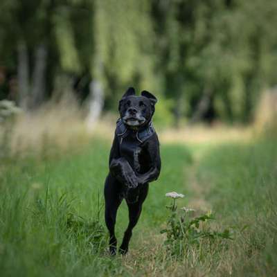 Austausch zur Fotografie-Beitrag-Bild