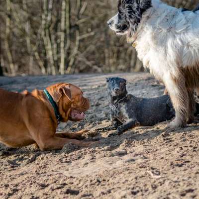 "Die eingefangene Magie des Augenblicks"-Beitrag-Bild