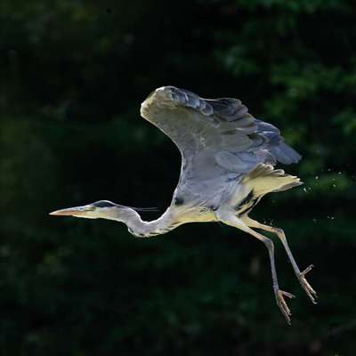 Austausch zur Fotografie-Beitrag-Bild