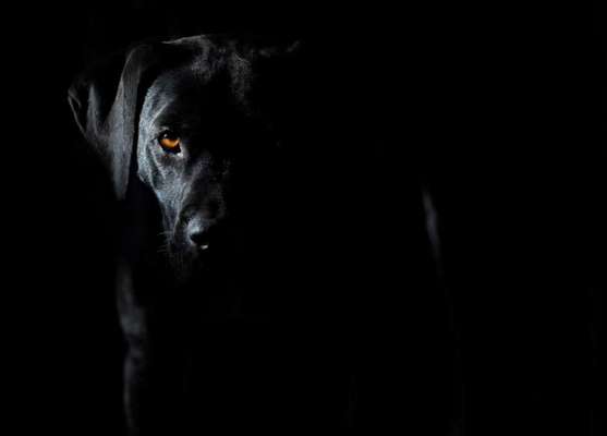 Austausch zur Fotografie-Beitrag-Bild