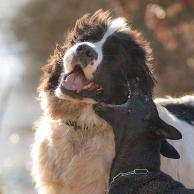 "Die eingefangene Magie des Augenblicks"-Beitrag-Bild