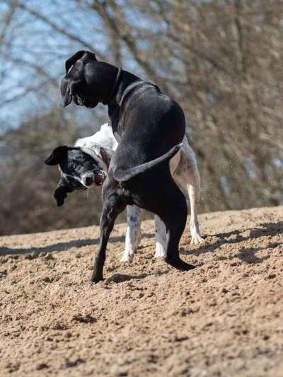 "Die eingefangene Magie des Augenblicks"-Beitrag-Bild