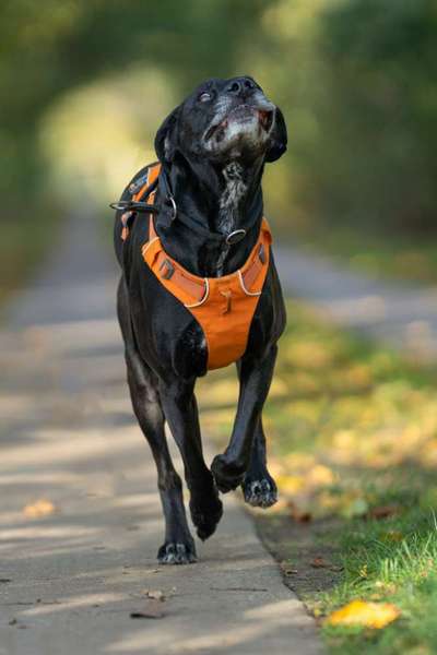 Austausch zur Fotografie-Beitrag-Bild