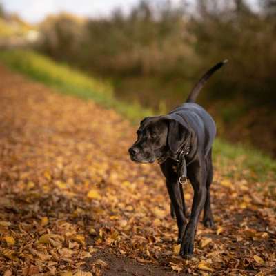 Herbst Bilder-Beitrag-Bild