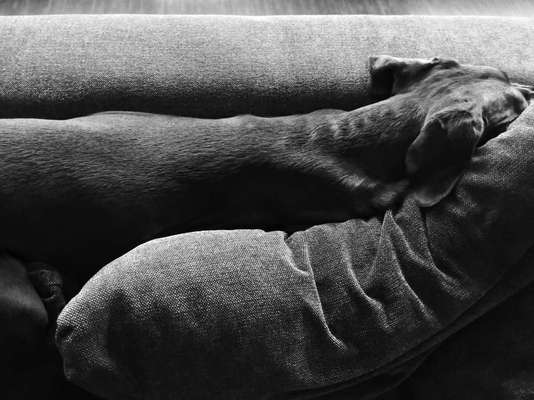 4. Lustiger Schlafplatz-Beitrag-Bild