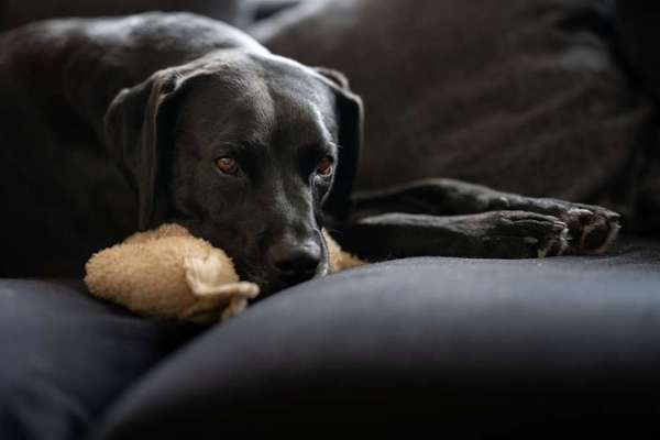 Austausch zur Fotografie-Beitrag-Bild