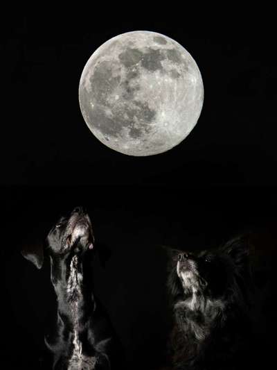 Photoshop und Co.-Beitrag-Bild