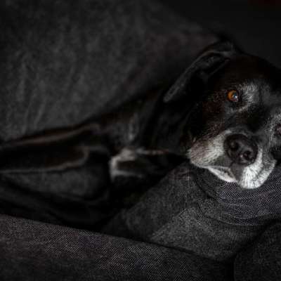 Austausch zur Fotografie-Beitrag-Bild