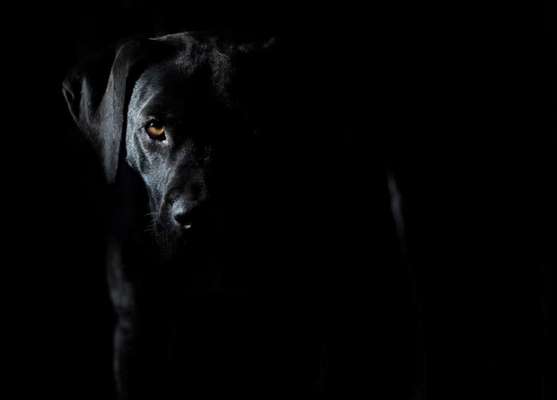 Lieblingsbild-Beitrag-Bild