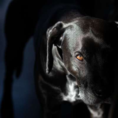 Austausch zur Fotografie-Beitrag-Bild