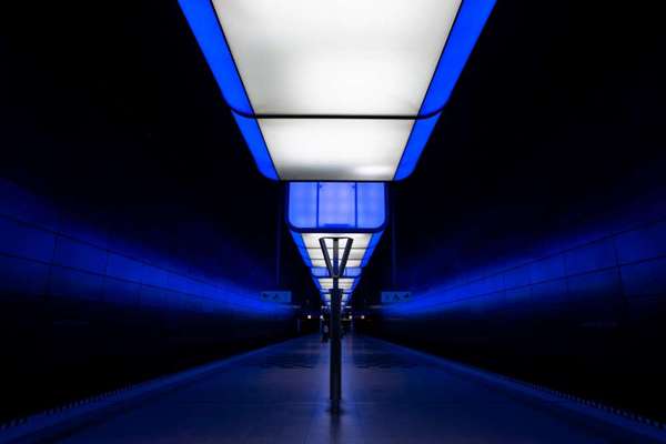 Fotografie / Hundefotografie-Beitrag-Bild