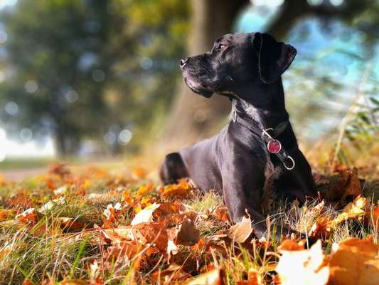 Herbst Bilder-Beitrag-Bild