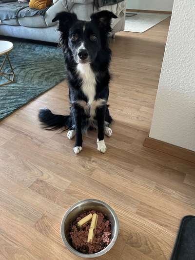 Doppelgänger gesucht !-Beitrag-Bild