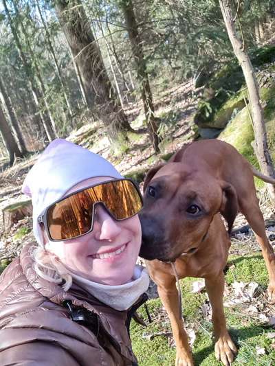 Rhodesian Ridgeback-Beitrag-Bild
