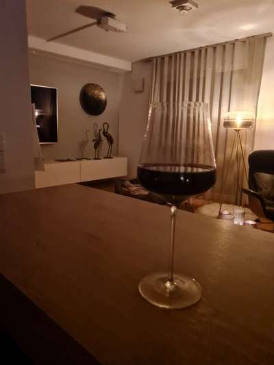 Rhodesian Ridgeback-Beitrag-Bild