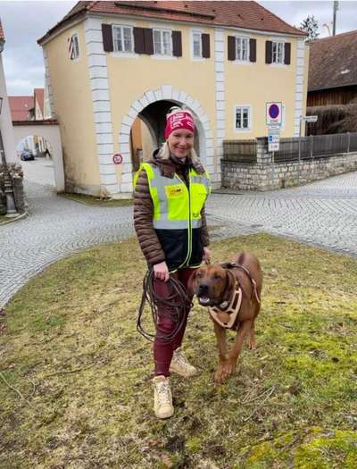 Rhodesian Ridgeback-Beitrag-Bild