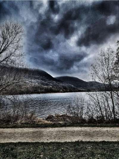 Rhodesian Ridgeback-Beitrag-Bild