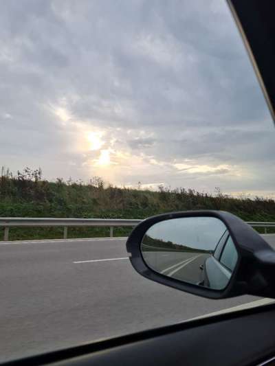 Rhodesian Ridgeback-Beitrag-Bild