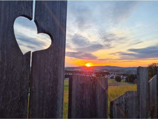 Rhodesian Ridgeback-Beitrag-Bild