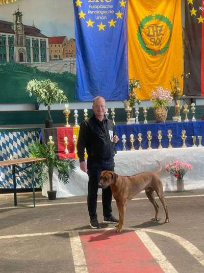 Rhodesian Ridgeback-Beitrag-Bild