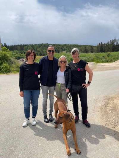 Rhodesian Ridgeback-Beitrag-Bild