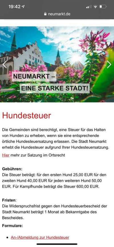 Rhodesian Ridgeback-Beitrag-Bild