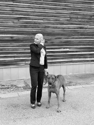 Rhodesian Ridgeback-Beitrag-Bild